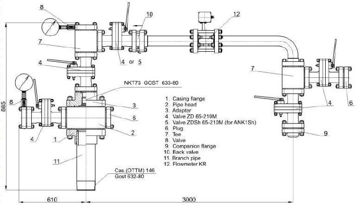 Injection Wellhead Equipment with Flow Meters 